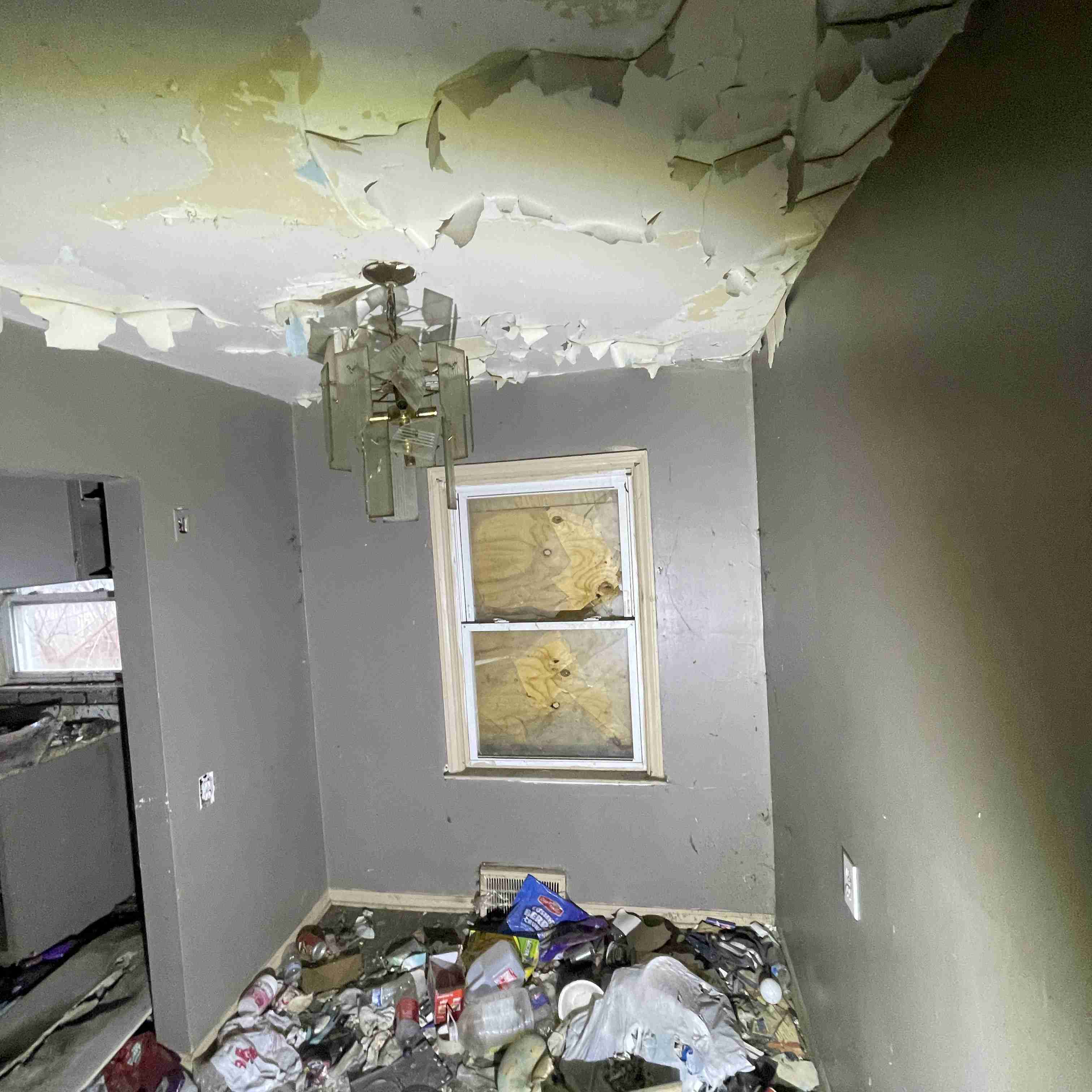 20015 Schoenherr (26).jpg